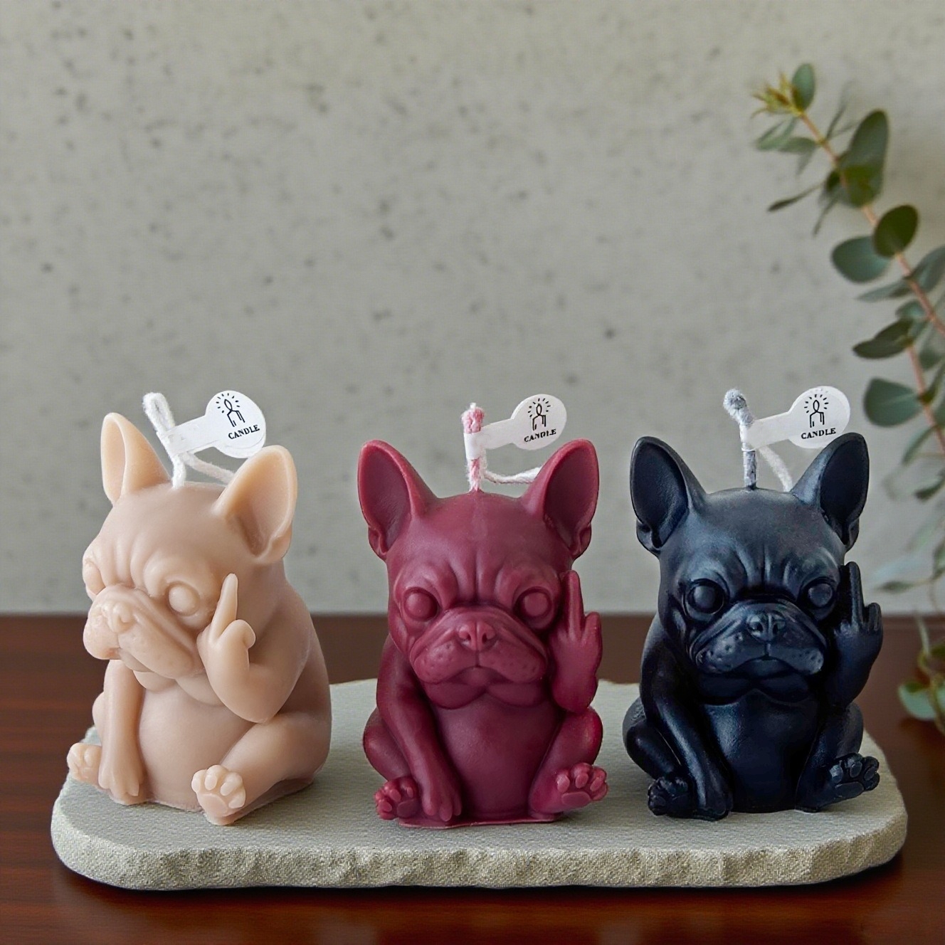 1pc Mini Unique Pet Dog Scente - Beeswax Wrap Reusable 评论和价格