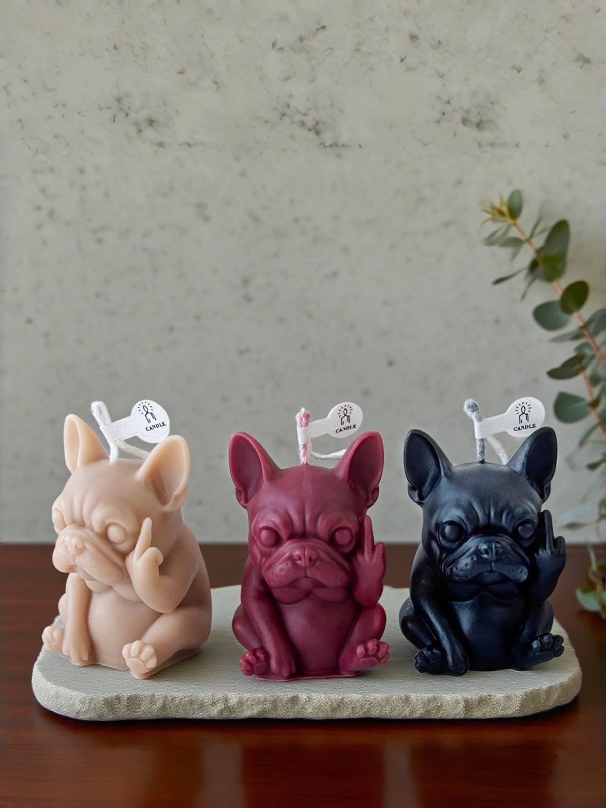 1pc Mini Unique Pet Dog Scente - Beeswax Wrap Reusable 评论和价格